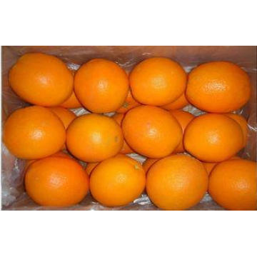 Fresh Fruit Raw Citrus Junos Fresh Navel Orange Contains Su